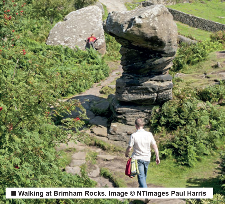 circular-walk-around-brimham-rocks